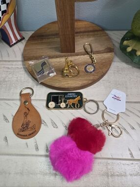 Assorted Novelty Landmark Keychain Lot, EUC
